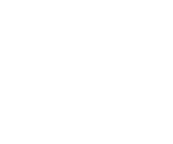 Logo AVA 70 (wit)